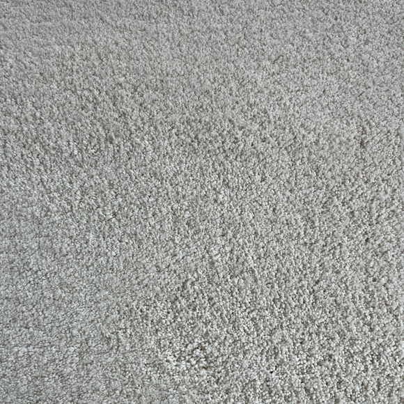 27x18 White Carper Rug - Picture 3 of 6